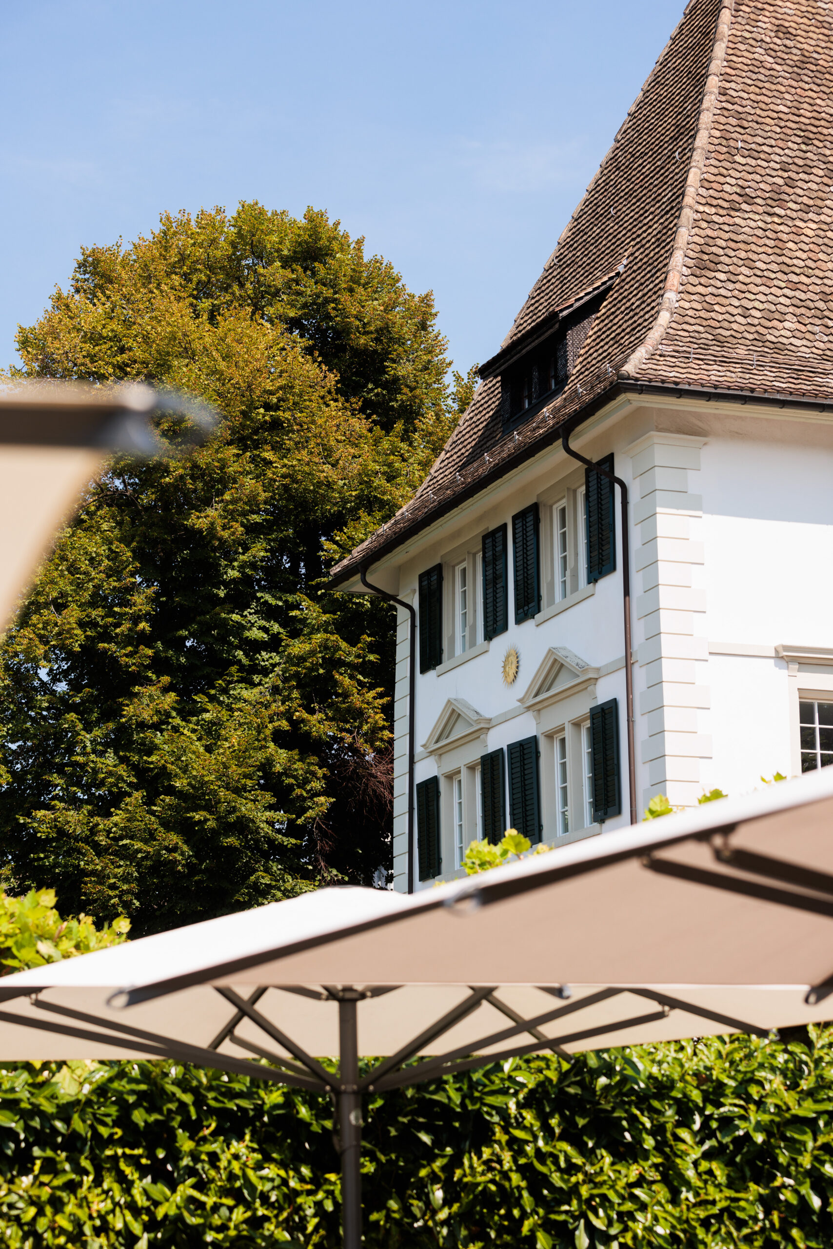 Das Hotel Sone Küsnacht, ein weisses Gebäude mit grünen Fensterläden und einem steilen, braunen Ziegeldach, steht an einem sonnigen Tag teilweise sichtbar hinter grossen Aussenschirmen und hohen grünen Bäumen unter einem blauen Himmel.