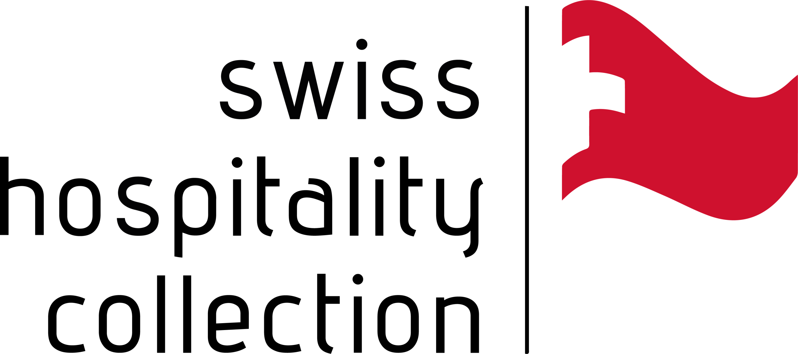 Swissquote-Logo mit dem Wort Swissquote und einer stilisierten roten Flagge auf der rechten Seite. Der Text ist schwarz und die Flagge ist gewellt mit einer weißen Kerbe.