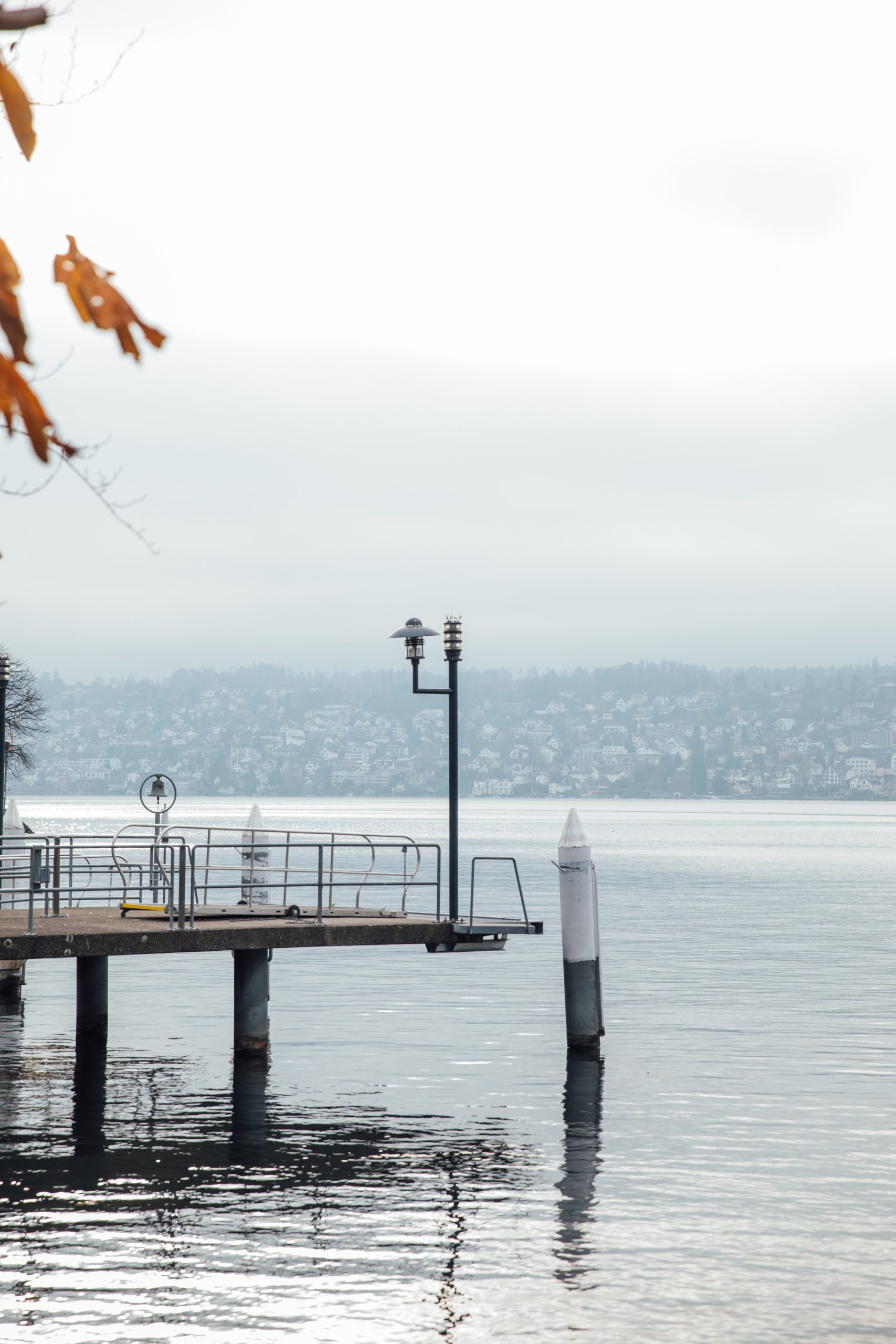 Eine ruhige Seeszene in der Nähe des Restaurants Seegarten mit einem Holzsteg, der sich über das Wasser erstreckt, einer Möwe, die auf einem Laternenpfahl sitzt, und fernen Hügeln auf der anderen Seite des Sees. Orangene Blätter hängen im Vordergrund unter einem bewölkten Himmel.