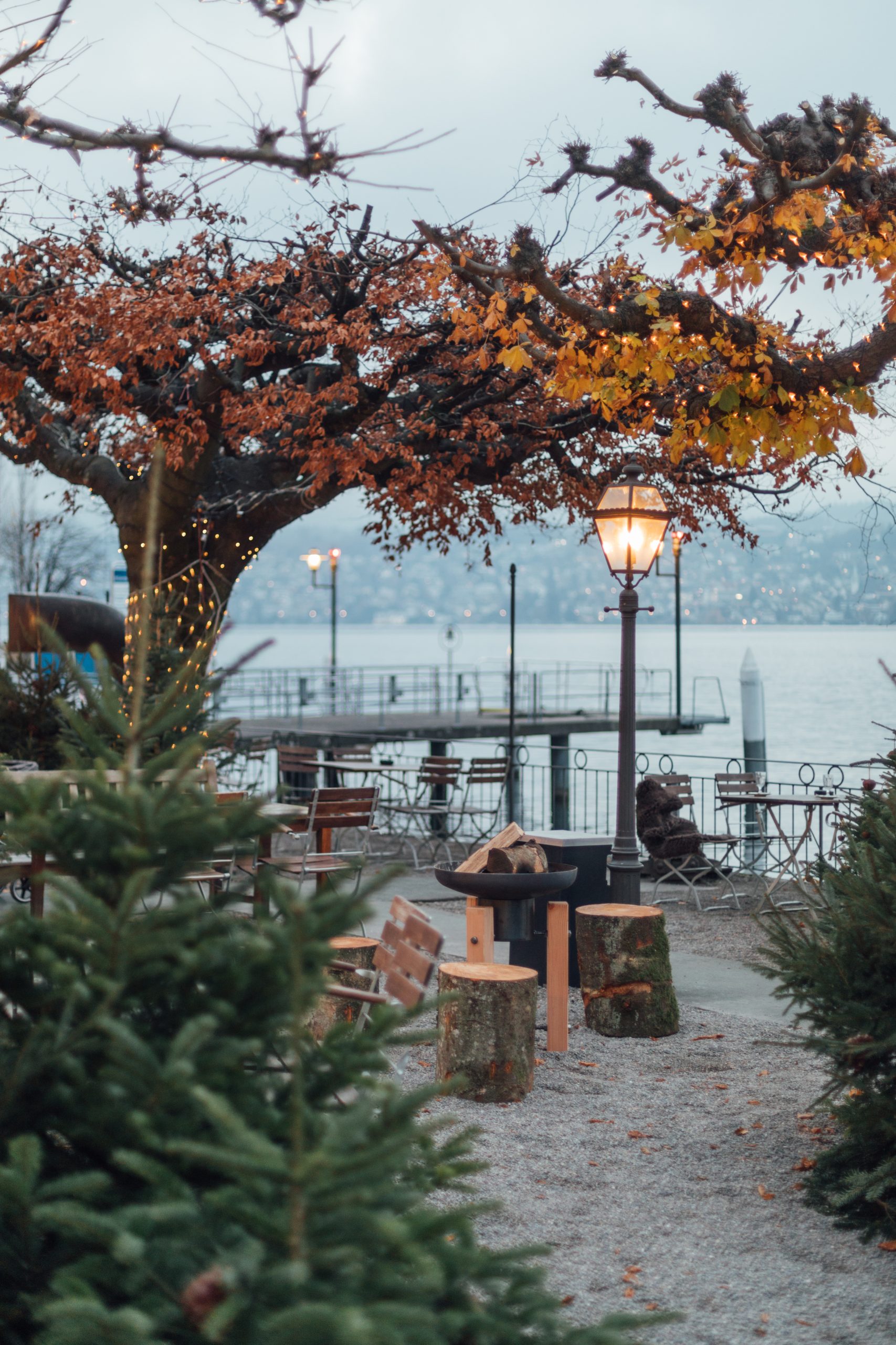Im Restaurant Seegarten erwartet Sie ein gemütlicher Freisitz am See mit Holzbänken und Baumstümpfen, umgeben von viel Grün, blattlosen Bäumen mit Herbstlaub und warmen Straßenlaternen, die in der Dämmerung leuchten.